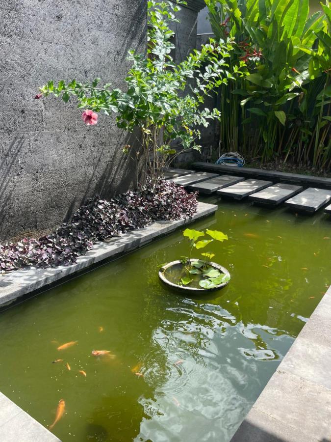 Private Suite In A Kids Friendly Big Shared Villa In Canggu Exterior photo